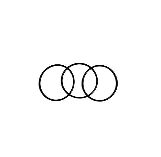 Anillos O 1 301 ID x 070 w